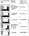 RICHTIG LUEFTEN Nov 1998.pcx (23464 Byte)